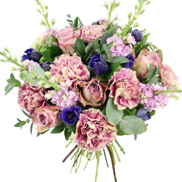 This carefully crafted bouquet is shown against a crisp, neutral white background, highlighting each flower as if it were part of an artful still life. At the centre, several full, garden-style roses open in tones of blush, dusty rose, and soft mauve, their petals spiralling outwards in tight yet generous layers that suggest timeless romance. Interlaced among them are numerous frilled carnations, their petals densely packed and softly waving at the edges. Their colouring moves from cream and pale blush at the core to deeper rose and fuchsia along the rims, lending both texture and a soft gradient of colour. To offset the pinks, intense indigo and royal blue flowers are placed with intention: sleek, bud-like blooms and a prominent open anemone with a rich, dark centre stand out near the bottom-front of the design, adding contrast and a touch of drama. Tall, slender stems of stock in lilac and light lavender rise subtly between the main blooms, creating vertical lines and adding an airy, almost cloudlike quality to the composition. The bouquet is enveloped by a generous mass of foliage, including rounded, silvery eucalyptus leaves and deeper green foliage that fills any gaps, giving the piece a full, lush silhouette. The visible stems are neatly bound at the base, suggesting this is a freshly tied design, perhaps created at Crystal Palace Flowers just off Westow Hill and ready to be carried to a local doorstep. With its harmonious blend of soft romance and bold accents, this arrangement feels perfect for weddings, anniversaries, or marking meaningful milestones in and around Crystal Palace.