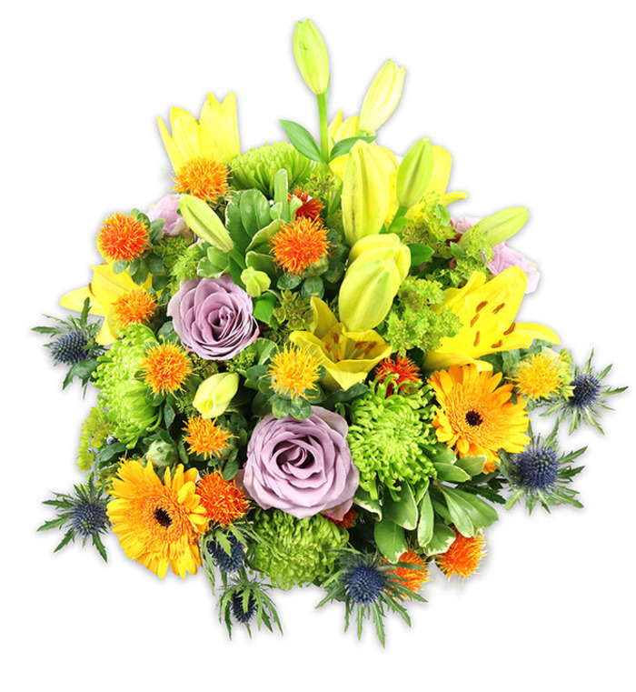 This densely composed floral display, set against a pristine white background, combines exuberant colour with considered botanical structure-an arrangement you might find on a table near the bandstand in Crystal Palace Park. Multiple yellow Asiatic lilies provide upward emphasis: some blossoms are fully unfurled and speckled with characteristic freckling, while others remain as upright, chartreuse-tinted buds that give the piece hopeful vertical energy. Two or more powdery lavender-purple roses sit centrally, their spiralled petals offering a quiet, elegant focal point among more extroverted flowers. Large orange Gerbera daisies create bold, sunny faces throughout the bouquet, their flat petals surrounding darker central discs and directing the gaze around the mound. Bright lime-green button chrysanthemums act as volumetric cushions, their tightly packed florets producing a textured, almost sculptural mass. Small spherical orange and yellow accent blooms-suggestive of billy buttons or similar globular forms-add rhythmic dots of colour, while indigo-blue sea thistles (Eryngium) appear at lower and lateral positions, their spiky, bracted heads granting an unexpected coolness and architectural edge. The supporting greenery-broad lily leaves and assorted glossy fillers-binds the palette together, producing depth and natural movement. Under soft studio illumination the surfaces glow; petals reveal subtle veining and the overall silhouette remains round and generous. Crafted with neighbourhood sensibilities in mind, this bouquet conveys celebration, gratitude, or calming sympathy, and suits everything from a birthday on Westow Street to an intimate dinner near Anerley Road.
